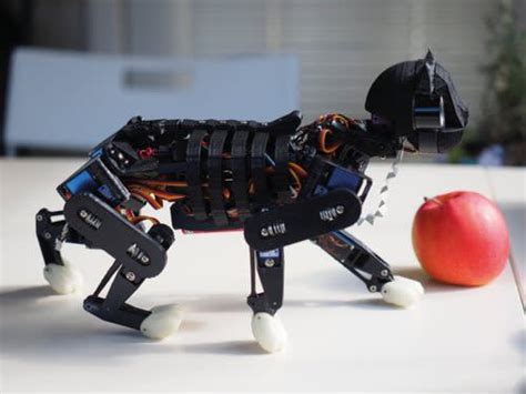 open cat robot kit usa|OpenCat: Robot cat purrs with Raspberry Pi — The MagPi .